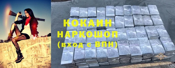 спайс Арсеньев